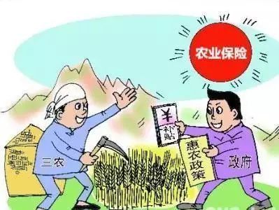 農(nóng)民保險發(fā)展趨勢與挑戰(zhàn)解析