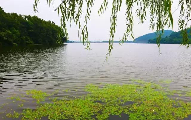 自然探索之旅，最新湖泊之美揭秘