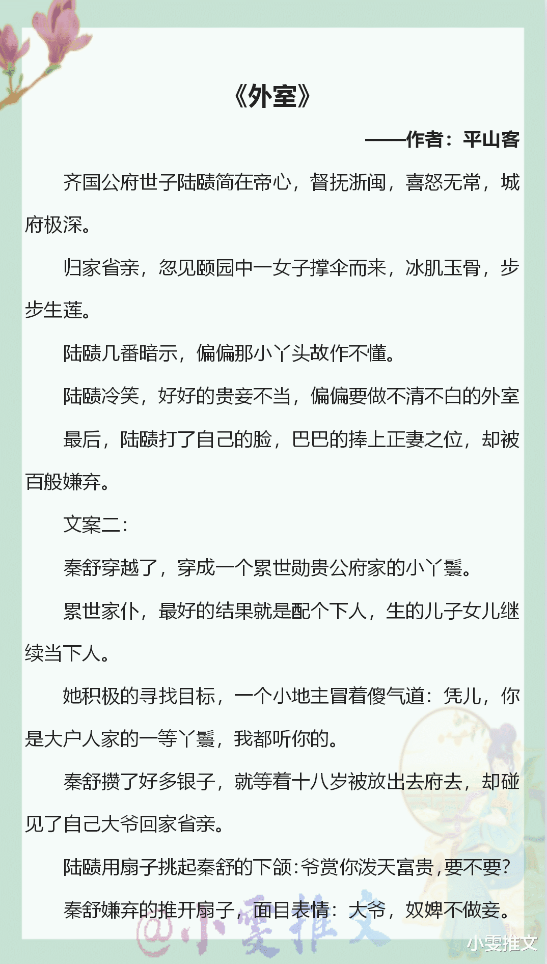 外室，細(xì)讀之選與TXT下載指南