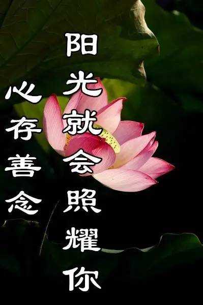 群主新歌風(fēng)潮，引領(lǐng)潮流的音樂(lè)潮流來(lái)襲