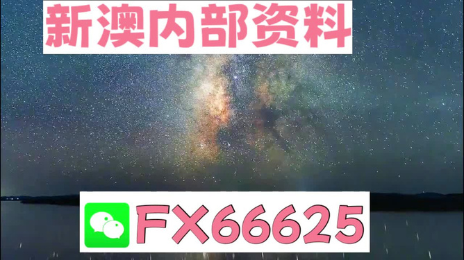 2024年新澳天天開彩最新資料,效率資料解釋落實(shí)_安卓19.347