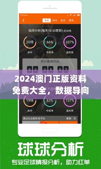 2024新澳門今晚開特馬直播,專家說明解析_RemixOS69.757