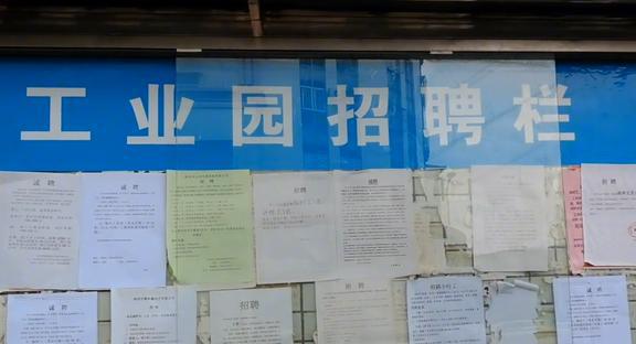 深圳包餃子工最新招工信息及其背后的故事