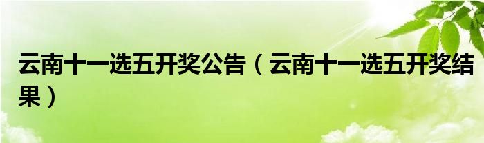 十一選五最新開獎結(jié)果揭秘與深度解讀