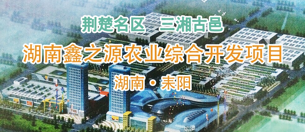 湖南澳鑫最新消息全面解讀與分析